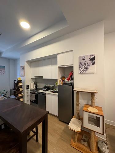 1 bedroom apartment for rent in Montreal - Le Sud-Ouest — photo 9