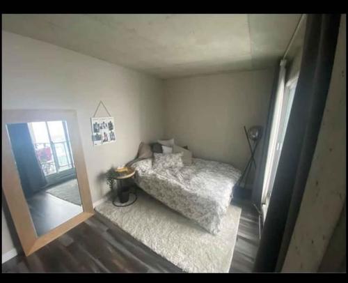 1 bedroom apartment for rent in Québec - Sainte-Foy–Sillery–Cap-Rouge — photo 2
