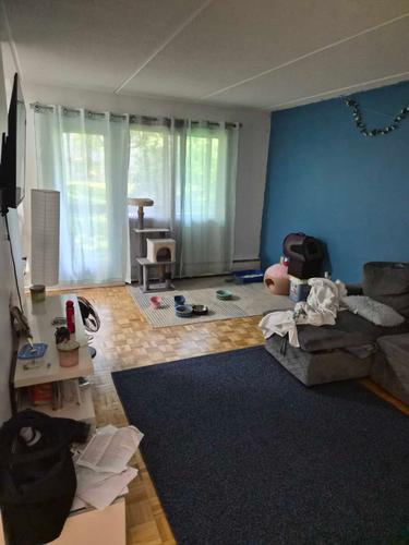Appartement de 1 chambre à louer à Saint-Lambert (Montérégie) — photo 3