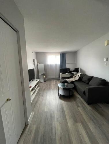 Appartement de 1 chambre à louer à Gatineau — photo 2