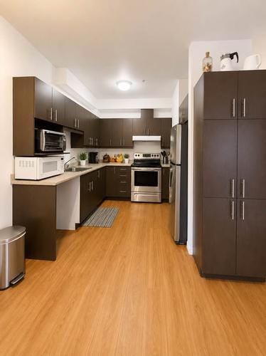 Appartement de 1 chambre à louer à Sherbrooke — photo 2