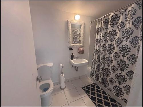 1 bedroom apartment for rent in Montreal - Villeray–Saint-Michel–Parc-Extension — photo 6