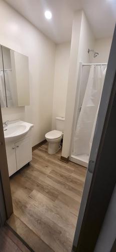 4 bedrooms apartment for rent in Montreal - Le Plateau-Mont-Royal — photo 4