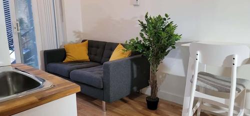1 bedroom apartment for rent in Montreal - Le Plateau-Mont-Royal — photo 6