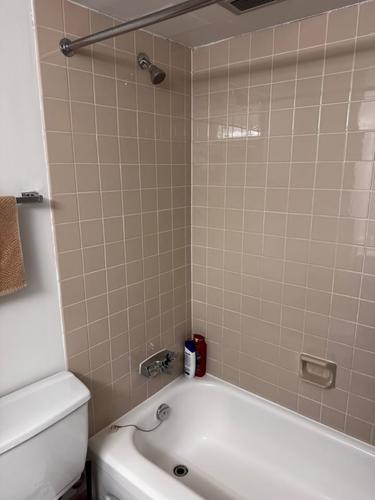 Appartement de 1 chambre à louer à Montreal - Le Plateau-Mont-Royal — photo 15
