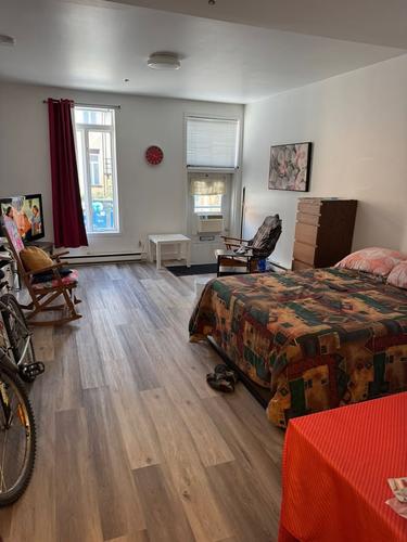Appartement de 1 chambre à louer à Québec - La Cité-Limoilou — photo 2