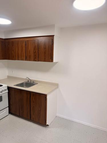 Appartement de 1 chambre à louer à Montreal - Saint-Laurent — photo 5