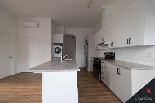 1 bedroom apartment for rent in Montreal - Rosemont–La Petite-Patrie — photo 5