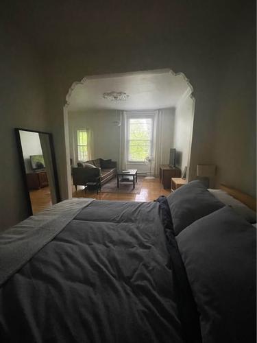 2 bedrooms apartment for rent in Montreal - Le Plateau-Mont-Royal — photo 3