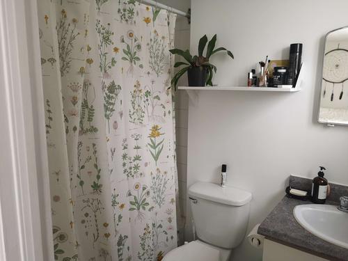 Studio à louer à Québec - La Cité-Limoilou — photo 7