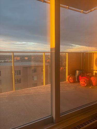 Appartement de 1 chambre à louer à Lévis — photo 10
