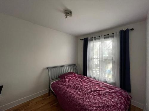 5 bedrooms apartment for rent in Montreal - Le Plateau-Mont-Royal — photo 9