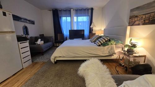 Studio for rent in Montreal - Le Plateau-Mont-Royal — photo 9