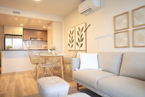 1 bedroom apartment for rent in Lévis — photo 4