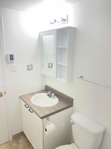 1 bedroom apartment for rent in Montreal - Le Plateau-Mont-Royal — photo 2