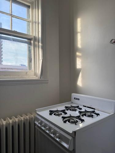 Appartement de 1 chambre à louer à Montreal - Le Plateau-Mont-Royal — photo 8