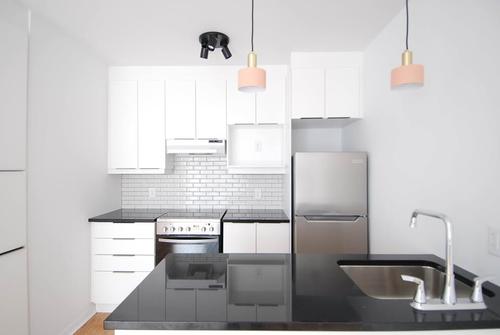 1 bedroom apartment for rent in Montreal - Le Plateau-Mont-Royal — photo 3