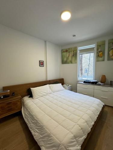 1 bedroom apartment for rent in Montreal - Le Sud-Ouest — photo 23