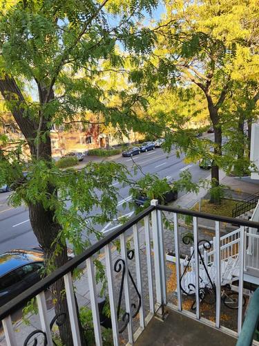 1 bedroom apartment for rent in Montreal - Rosemont–La Petite-Patrie — photo 4