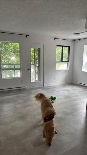 Appartement de 2 chambres à louer à Québec - Sainte-Foy–Sillery–Cap-Rouge — photo 8