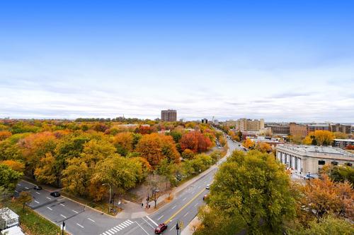 Studio for rent in Montreal - Le Plateau-Mont-Royal — photo 2