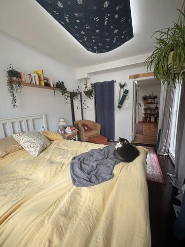 2 bedrooms apartment for rent in Montreal - Ville-Marie — photo 11