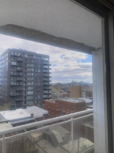 1 bedroom apartment for rent in Montreal - Le Plateau-Mont-Royal — photo 4