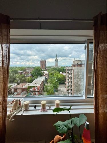 Appartement de 1 chambre à louer à Montreal - Le Plateau-Mont-Royal — photo 4