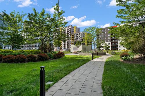 1 bedroom apartment for rent in Laval — photo 12