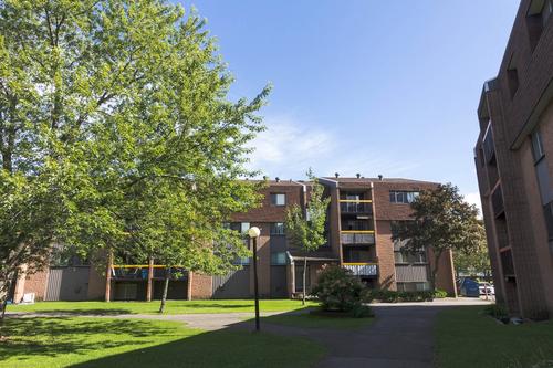 2 bedrooms apartment for rent in Lévis — photo 3