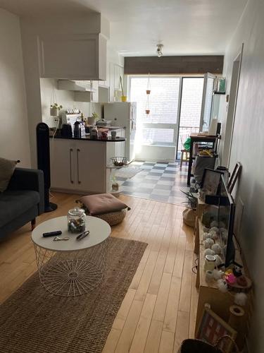1 bedroom apartment for rent in Montreal - Le Plateau-Mont-Royal — photo 10