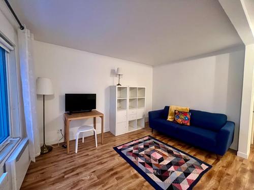 1 bedroom apartment for rent in Montreal - Le Plateau-Mont-Royal — photo 11
