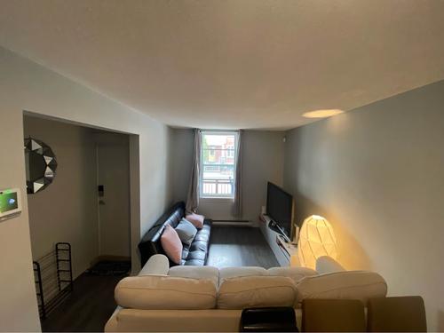 Appartement de 1 chambre à louer à Gatineau — photo 4