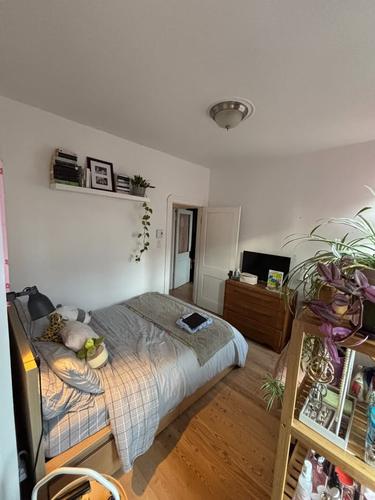 Appartement de 4 chambres à louer à Montreal - Le Plateau-Mont-Royal — photo 4