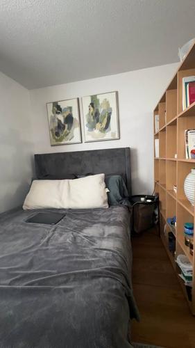 1 bedroom apartment for rent in Montreal - Le Plateau-Mont-Royal — photo 3