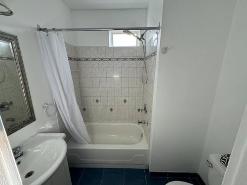 Appartement de 2 chambres à louer à Québec - La Cité-Limoilou — photo 12