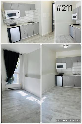 1 bedroom apartment for rent in Montreal - Ville-Marie — photo 2