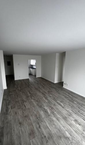 Appartement de 2 chambres à louer à Montreal - Rosemont–La Petite-Patrie — photo 13