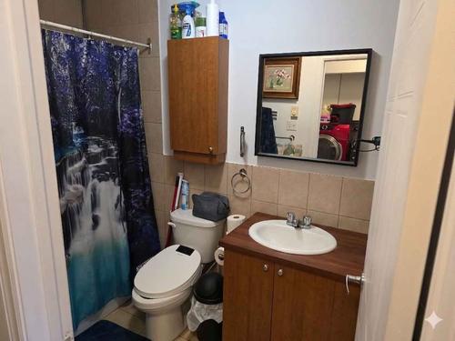 1 bedroom apartment for rent in Montreal - Le Plateau-Mont-Royal — photo 6