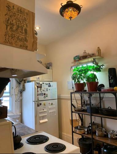 1 bedroom apartment for rent in - — photo 3