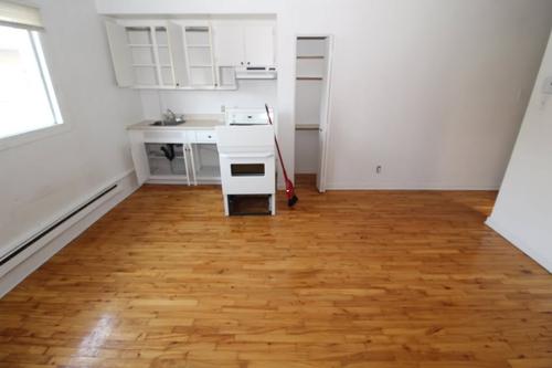1 bedroom apartment for rent in Montreal - Le Plateau-Mont-Royal — photo 2
