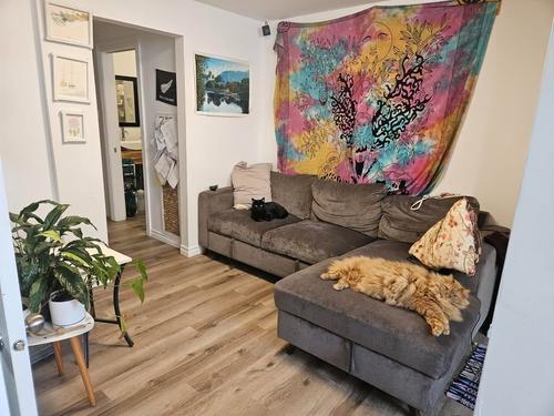 Appartement de 2 chambres à louer à Québec - La Cité-Limoilou — photo 3