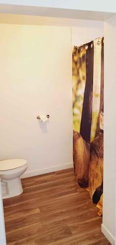 2 bedrooms apartment for rent in Gatineau — photo 9