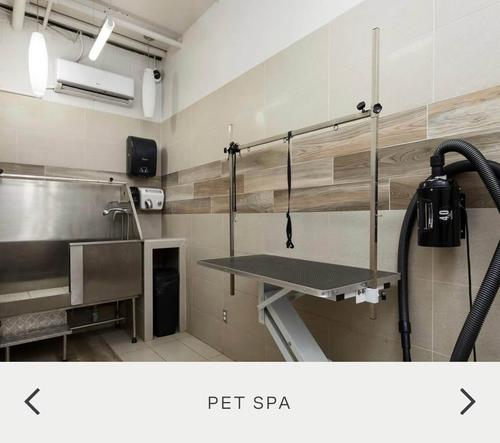 2 bedrooms apartment for rent in Montréal — photo 4