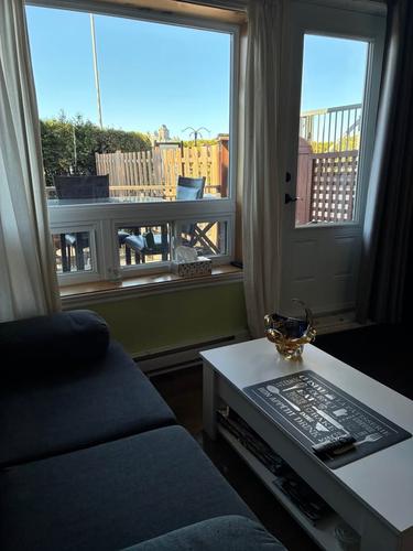 Appartement de 1 chambre à louer à Lévis — photo 2