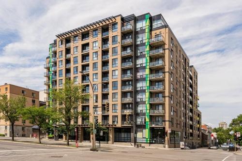 Studio for rent in Montreal - Ville-Marie — photo 4