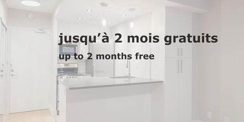 Appartement de 1 chambre à louer à Montreal - Le Plateau-Mont-Royal — photo 15
