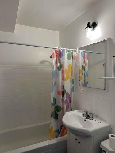Appartement de 2 chambres à louer à Montreal - Rosemont–La Petite-Patrie — photo 10