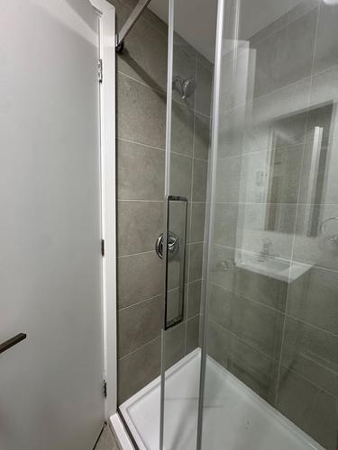 1 bedroom apartment for rent in Montreal - Rosemont–La Petite-Patrie — photo 4