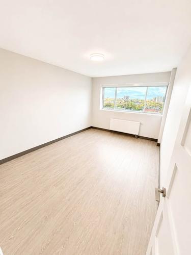 1 bedroom apartment for rent in Montreal - Le Plateau-Mont-Royal — photo 7